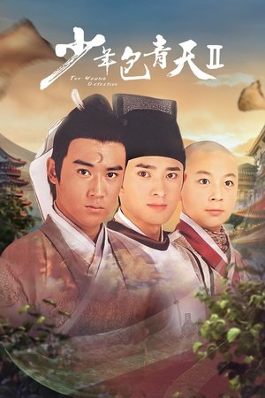 Poster for Young Justice Bao: Season 2