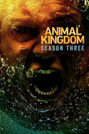 Poster for Animal Kingdom: Season 3