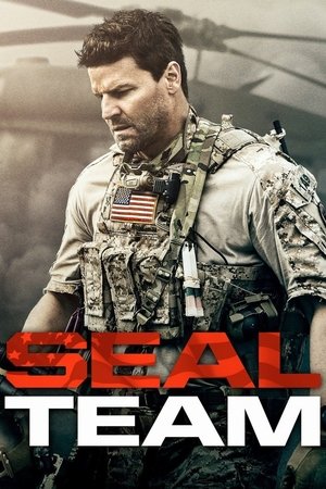 Poster for SEAL Team: Season 1