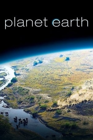 Poster for Planet Earth: Miniseries