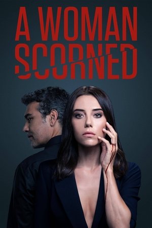 Poster for A Woman Scorned: Season 1