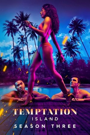 Poster for Temptation Island: Season 3