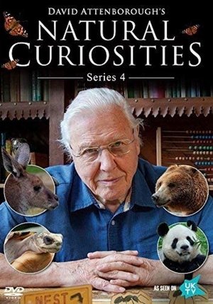 Poster for David Attenborough's Natural Curiosities: Season 4