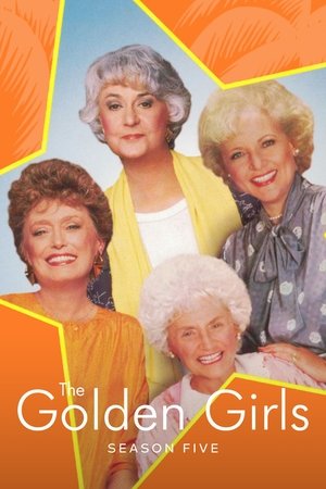 Poster for The Golden Girls: Season 5
