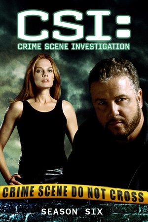 Poster for CSI: Crime Scene Investigation: Season 6
