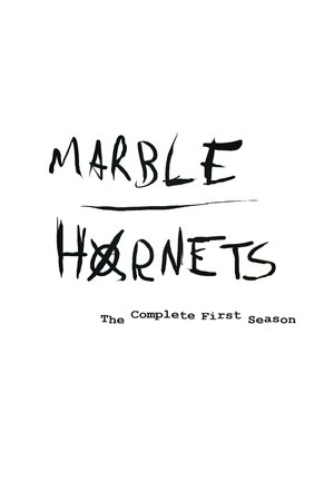 Poster for Marble Hornets: Season 1