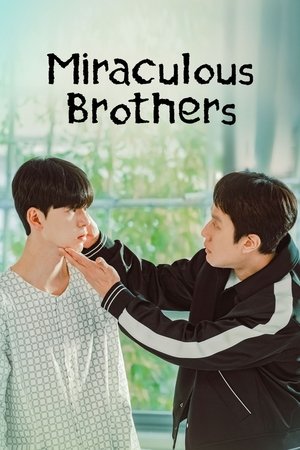 Poster for Miraculous Brothers