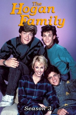 Poster for The Hogan Family: Season 3