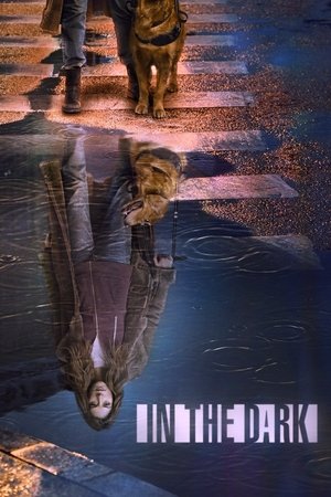 Poster for In the Dark: Season 2