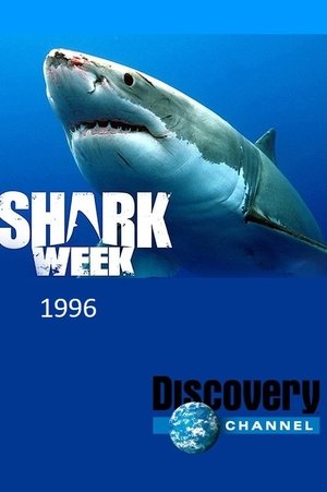 Poster for Shark Week: 1996