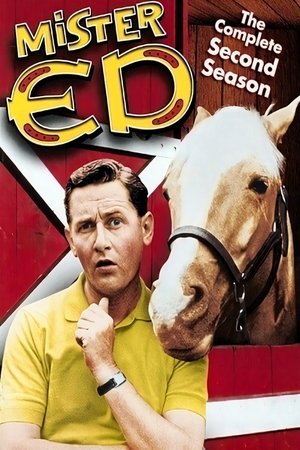 Poster for Mister Ed: Season 2