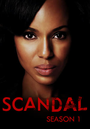 Poster for Scandal: Season 1