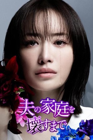 Poster for Until I Destroy My Husband's Family