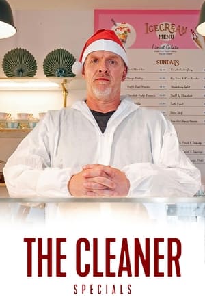 Poster for The Cleaner: Specials