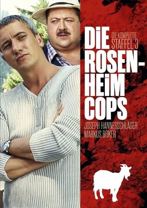 Poster for Die Rosenheim-Cops: Season 3