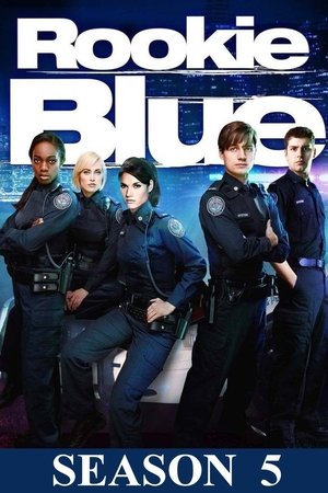 Poster for Rookie Blue: Season 5