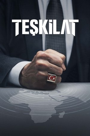 Poster for The Shadow Team: Season 1