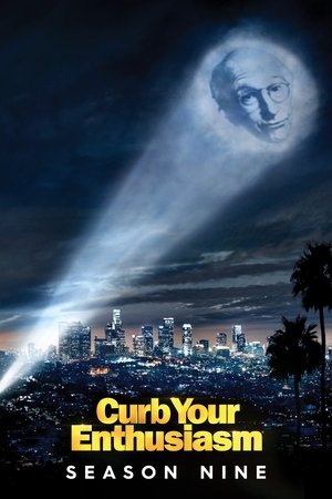 Poster for Curb Your Enthusiasm: Season 9