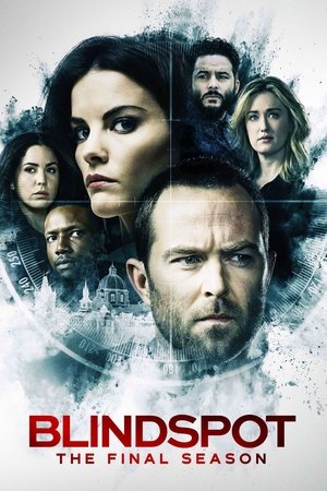 Poster for Blindspot: Season 5