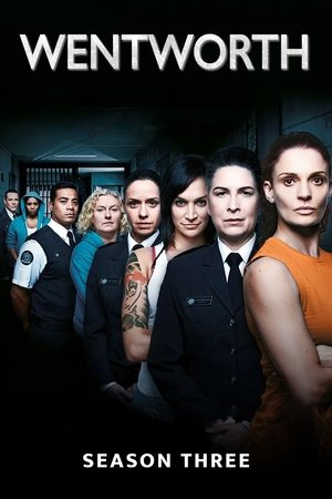 Poster for Wentworth: Season 3