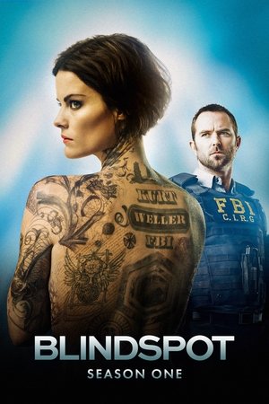 Poster for Blindspot: Season 1
