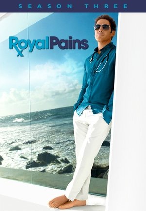 Poster for Royal Pains: Season 3