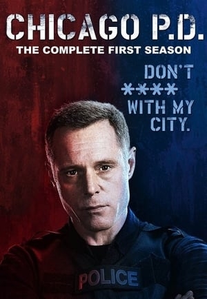 Poster for Chicago P.D.: Season 1