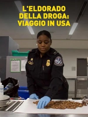 Poster for National Geographic: L'Eldorado della droga Viaggio in USA: Season 1