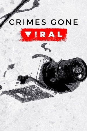 Poster for Crimes Gone Viral: Season 1