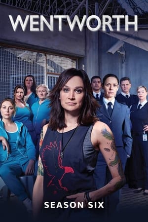 Poster for Wentworth: Season 6