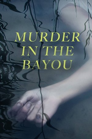 Poster for Murder in the Bayou: Miniseries