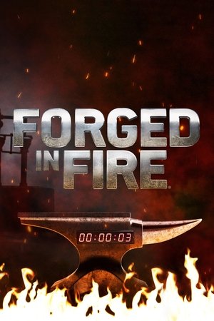 Poster for Forged in Fire: Season 8