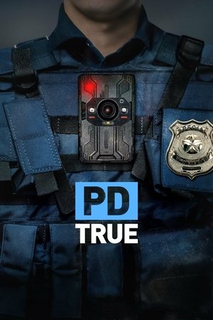 Poster for PD True: Season 2