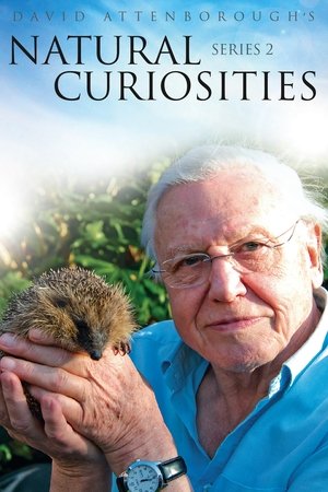 Poster for David Attenborough's Natural Curiosities: Season 2
