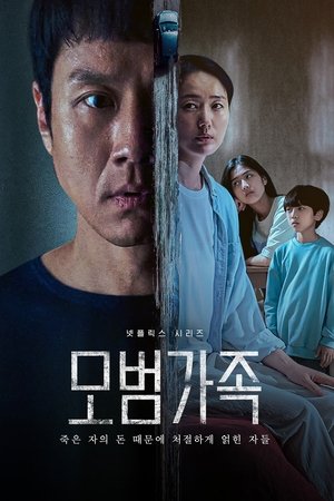 Poster for A Model Family: Season 1