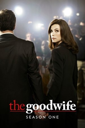 Poster for The Good Wife: Season 1