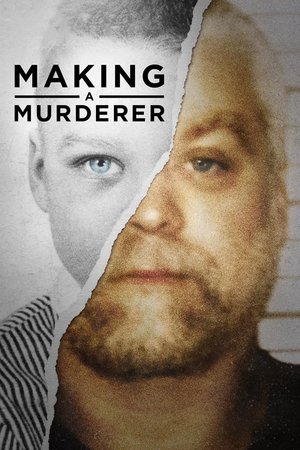 Poster for Making a Murderer: Part 1