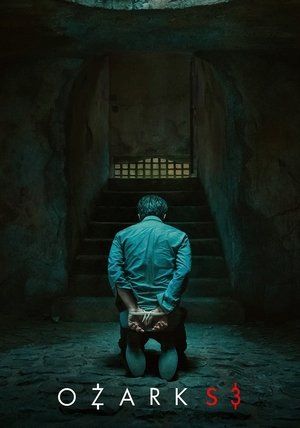 Poster for Ozark: Season 3