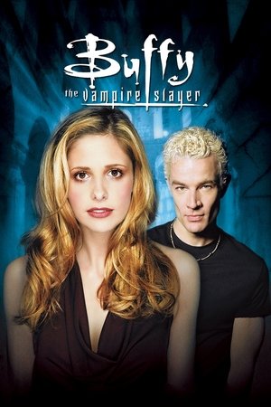 Poster for Buffy the Vampire Slayer: Season 7