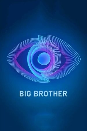 Poster for Big Brother: Season 7