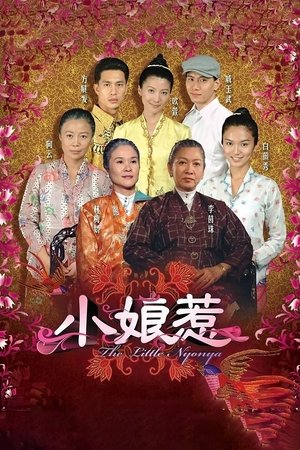 Poster for The Little Nyonya: Season 1