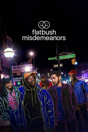 Poster for Flatbush Misdemeanors: Season 2