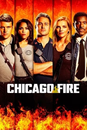 Poster for Chicago Fire: Season 5