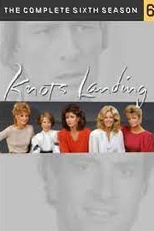Poster for Knots Landing: Season 6