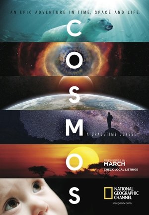 Poster for Cosmos: A Spacetime Odyssey