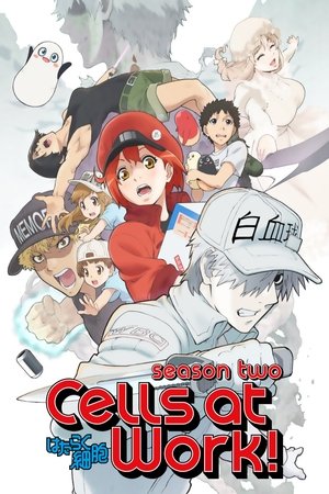Poster for Cells at Work!: Cells at Work!!