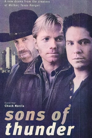 Poster for Sons of Thunder: Season 1