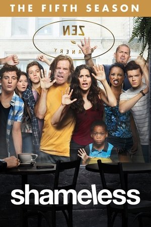Poster for Shameless: Season 5