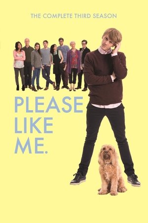 Poster for Please Like Me: Season 3