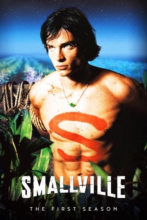 Poster for Smallville: Season 1